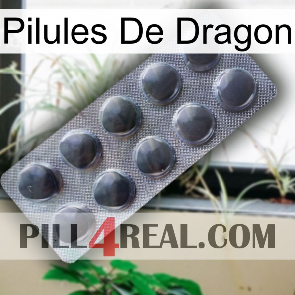 Dragon Pills 30